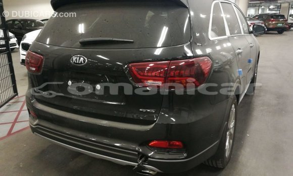 Buy Import Kia Sorento Brown Car in Import - Dubai in Dhufar Buy Import Kia Sorento Brown Car in Import - Dubai in Dhufar