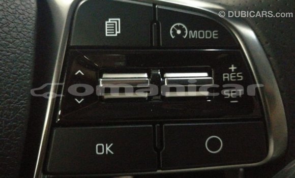 Buy Import Kia Sorento Brown Car in Import - Dubai in Dhufar Buy Import Kia Sorento Brown Car in Import - Dubai in Dhufar