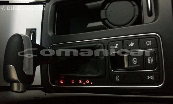 Buy Import Kia Sorento Brown Car in Import - Dubai in Dhufar Buy Import Kia Sorento Brown Car in Import - Dubai in Dhufar