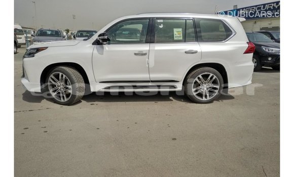 Buy Import Lexus LX Red Car in Import - Dubai in Dhufar Buy Import Lexus LX Red Car in Import - Dubai in Dhufar