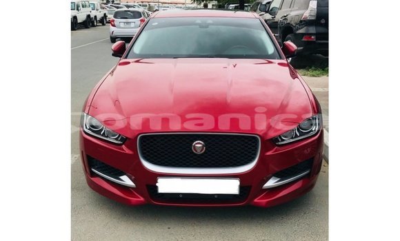Buy Import Jaguar XE Red Car in Import - Dubai in Dhufar