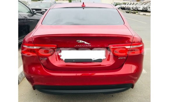 Buy Import Jaguar XE Red Car in Import - Dubai in Dhufar Buy Import Jaguar XE Red Car in Import - Dubai in Dhufar