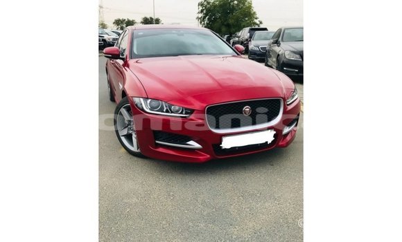 Buy Import Jaguar XE Red Car in Import - Dubai in Dhufar Buy Import Jaguar XE Red Car in Import - Dubai in Dhufar