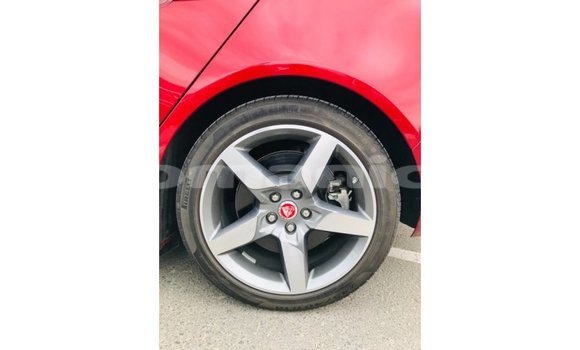 Buy Import Jaguar XE Red Car in Import - Dubai in Dhufar Buy Import Jaguar XE Red Car in Import - Dubai in Dhufar