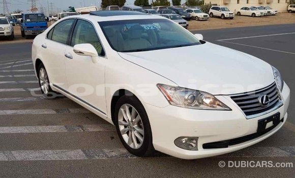 Buy Import Lexus ES White Car in Import - Dubai in Dhufar Buy Import Lexus ES White Car in Import - Dubai in Dhufar