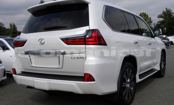 Buy Used Lexus LX 570 White Car in al–Masna'ah in al-Batinah Buy Used Lexus LX 570 White Car in al–Masna'ah in al-Batinah