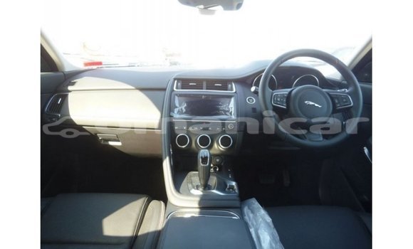 Buy Import Jaguar E-Pace Red Car in Import - Dubai in Dhufar Buy Import Jaguar E-Pace Red Car in Import - Dubai in Dhufar