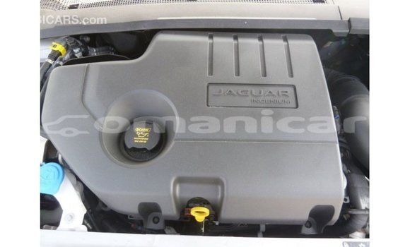 Buy Import Jaguar E-Pace White Car in Import - Dubai in Dhufar Buy Import Jaguar E-Pace White Car in Import - Dubai in Dhufar