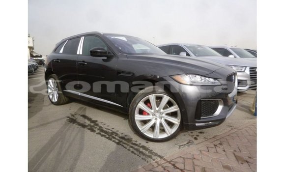 Buy Import Jaguar F-Type Black Car in Import - Dubai in Dhufar