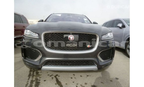Buy Import Jaguar F-Type Black Car in Import - Dubai in Dhufar Buy Import Jaguar F-Type Black Car in Import - Dubai in Dhufar