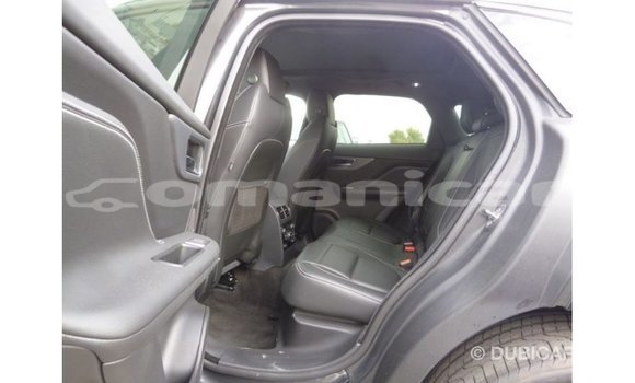 Buy Import Jaguar F-Type Black Car in Import - Dubai in Dhufar Buy Import Jaguar F-Type Black Car in Import - Dubai in Dhufar