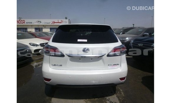 Buy Import Lexus RX White Car in Import - Dubai in Dhufar Buy Import Lexus RX White Car in Import - Dubai in Dhufar