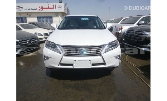 Buy Import Lexus RX White Car in Import - Dubai in Dhufar Buy Import Lexus RX White Car in Import - Dubai in Dhufar