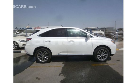 Buy Import Lexus RX White Car in Import - Dubai in Dhufar Buy Import Lexus RX White Car in Import - Dubai in Dhufar