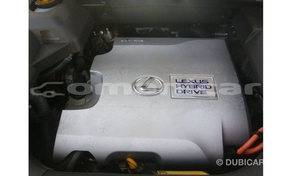 Buy Import Lexus RX White Car in Import - Dubai in Dhufar Buy Import Lexus RX White Car in Import - Dubai in Dhufar