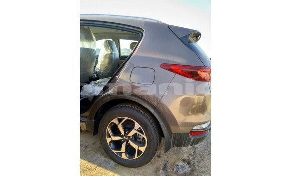 Buy Import Kia Sportage Brown Car in Import - Dubai in Dhufar Buy Import Kia Sportage Brown Car in Import - Dubai in Dhufar
