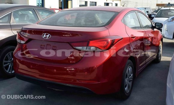 Buy Import Hyundai Elantra Red Car in Import - Dubai in Dhufar Buy Import Hyundai Elantra Red Car in Import - Dubai in Dhufar