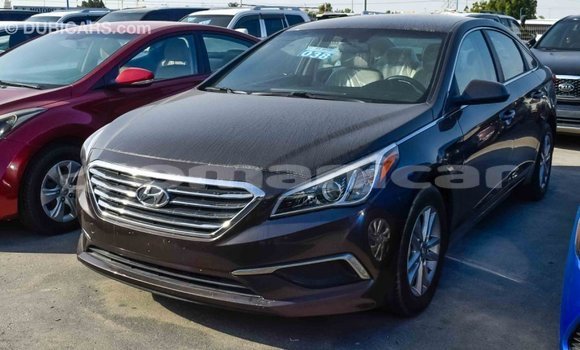 Buy Import Hyundai Sonata Brown Car in Import - Dubai in Dhufar Buy Import Hyundai Sonata Brown Car in Import - Dubai in Dhufar