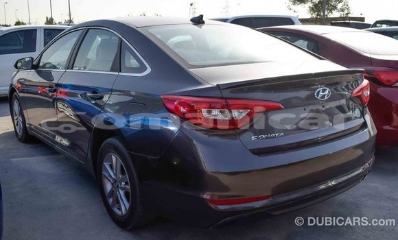 Buy Import Hyundai Sonata Brown Car in Import - Dubai in Dhufar Buy Import Hyundai Sonata Brown Car in Import - Dubai in Dhufar
