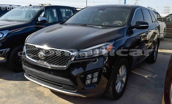 Buy Import Kia Sorento Black Car in Import - Dubai in Dhufar Buy Import Kia Sorento Black Car in Import - Dubai in Dhufar
