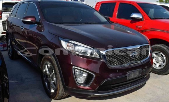 Buy Import Kia Sorento Brown Car in Import - Dubai in Dhufar Buy Import Kia Sorento Brown Car in Import - Dubai in Dhufar