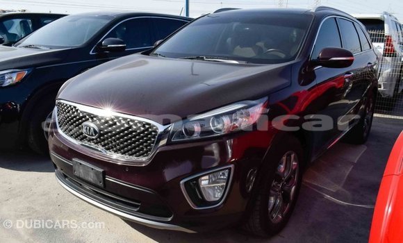 Buy Import Kia Sorento Brown Car in Import - Dubai in Dhufar Buy Import Kia Sorento Brown Car in Import - Dubai in Dhufar