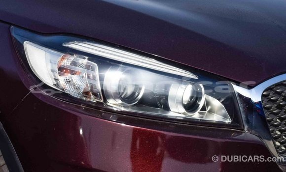 Buy Import Kia Sorento Brown Car in Import - Dubai in Dhufar Buy Import Kia Sorento Brown Car in Import - Dubai in Dhufar