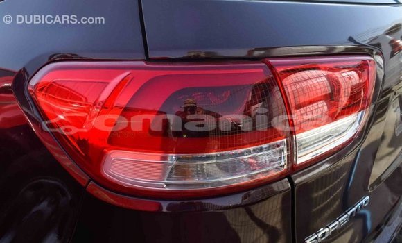 Buy Import Kia Sorento Brown Car in Import - Dubai in Dhufar Buy Import Kia Sorento Brown Car in Import - Dubai in Dhufar