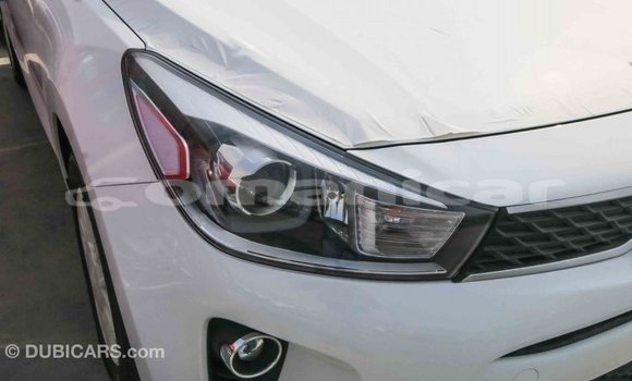 Buy Import Kia Rio White Car in Import - Dubai in Dhufar Buy Import Kia Rio White Car in Import - Dubai in Dhufar