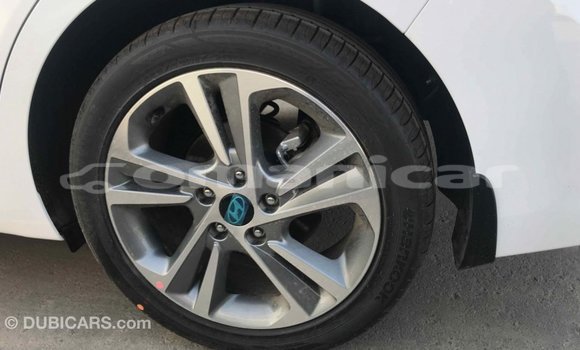 Buy Import Hyundai Elantra White Car in Import - Dubai in Dhufar Buy Import Hyundai Elantra White Car in Import - Dubai in Dhufar