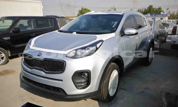 Buy Import Kia Sportage Other Car in Import - Dubai in Dhufar Buy Import Kia Sportage Other Car in Import - Dubai in Dhufar