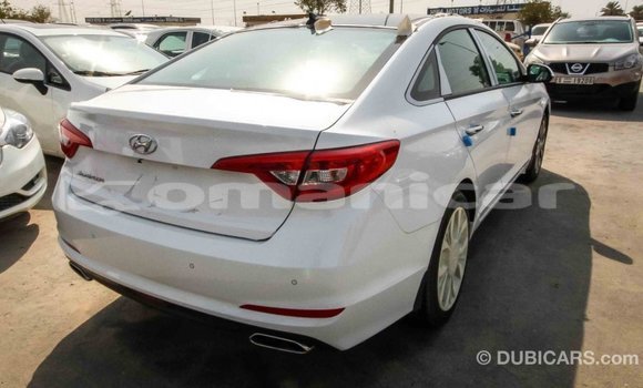 Buy Import Hyundai Sonata White Car in Import - Dubai in Dhufar Buy Import Hyundai Sonata White Car in Import - Dubai in Dhufar