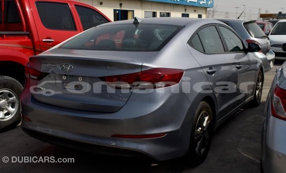 Buy Import Hyundai Elantra Other Car in Import - Dubai in Dhufar Buy Import Hyundai Elantra Other Car in Import - Dubai in Dhufar