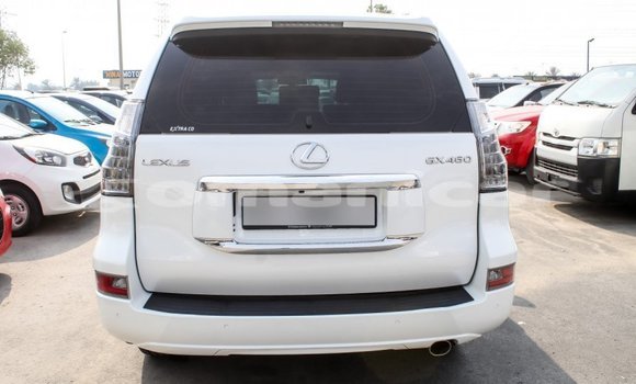 Buy Import Lexus GX White Car in Import - Dubai in Dhufar Buy Import Lexus GX White Car in Import - Dubai in Dhufar