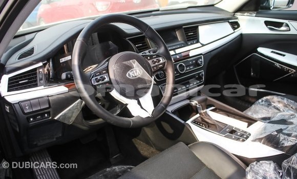 Buy Import Kia Cadenza Other Car in Import - Dubai in Dhufar Buy Import Kia Cadenza Other Car in Import - Dubai in Dhufar