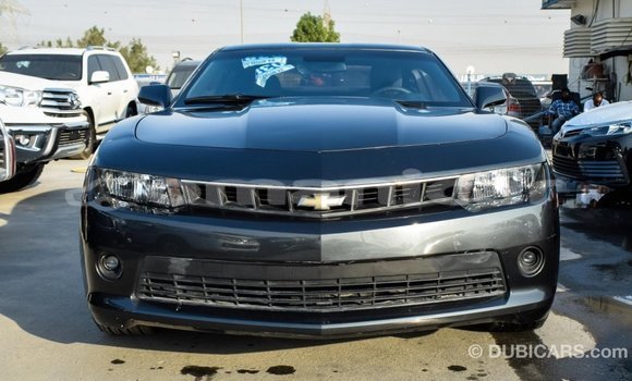 Buy Import Chevrolet Camaro Other Car in Import - Dubai in Dhufar Buy Import Chevrolet Camaro Other Car in Import - Dubai in Dhufar