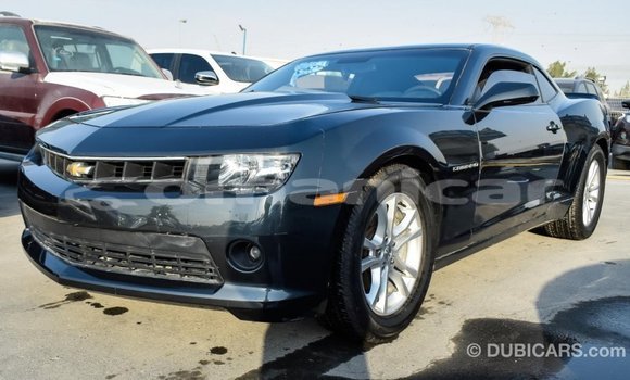 Buy Import Chevrolet Camaro Other Car in Import - Dubai in Dhufar Buy Import Chevrolet Camaro Other Car in Import - Dubai in Dhufar
