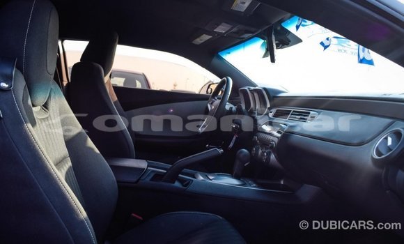 Buy Import Chevrolet Camaro Other Car in Import - Dubai in Dhufar Buy Import Chevrolet Camaro Other Car in Import - Dubai in Dhufar