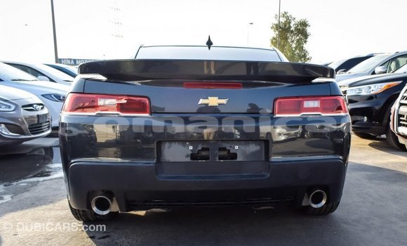 Buy Import Chevrolet Camaro Other Car in Import - Dubai in Dhufar Buy Import Chevrolet Camaro Other Car in Import - Dubai in Dhufar