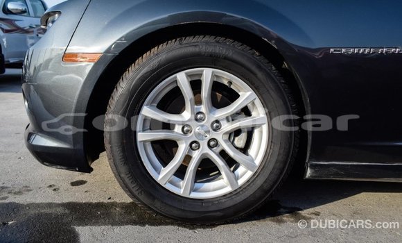 Buy Import Chevrolet Camaro Other Car in Import - Dubai in Dhufar Buy Import Chevrolet Camaro Other Car in Import - Dubai in Dhufar