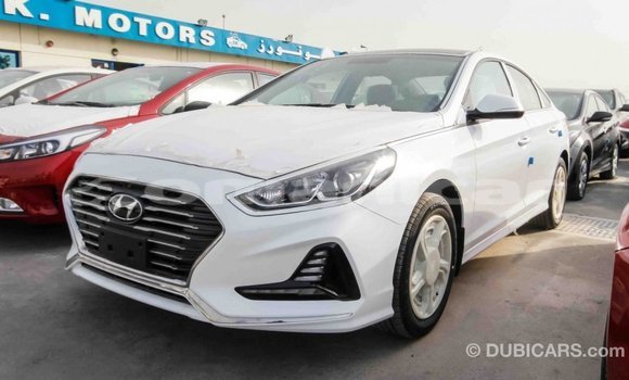 Buy Import Hyundai Sonata White Car in Import - Dubai in Dhufar Buy Import Hyundai Sonata White Car in Import - Dubai in Dhufar