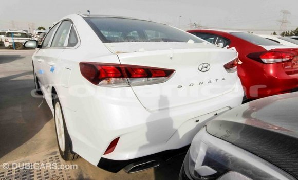 Buy Import Hyundai Sonata White Car in Import - Dubai in Dhufar Buy Import Hyundai Sonata White Car in Import - Dubai in Dhufar