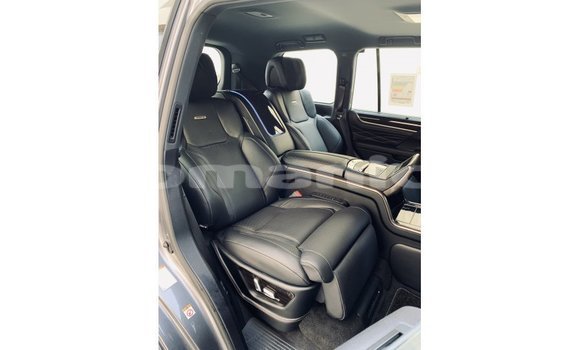 Buy Import Lexus LX Other Car in Import - Dubai in Dhufar Buy Import Lexus LX Other Car in Import - Dubai in Dhufar