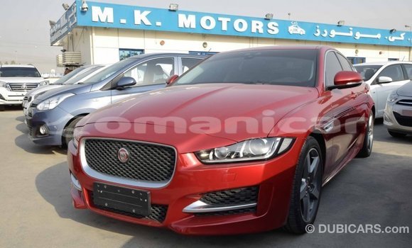 Buy Import Jaguar XE Red Car in Import - Dubai in Dhufar Buy Import Jaguar XE Red Car in Import - Dubai in Dhufar