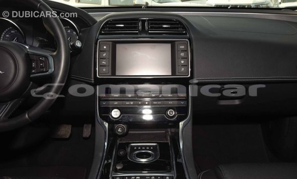 Buy Import Jaguar XE Red Car in Import - Dubai in Dhufar Buy Import Jaguar XE Red Car in Import - Dubai in Dhufar