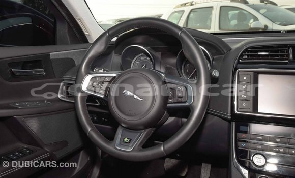 Buy Import Jaguar XE Red Car in Import - Dubai in Dhufar Buy Import Jaguar XE Red Car in Import - Dubai in Dhufar