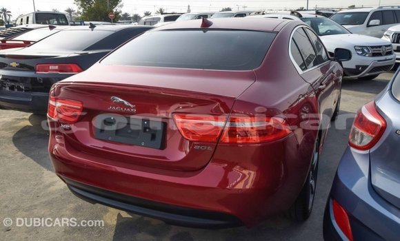 Buy Import Jaguar XE Red Car in Import - Dubai in Dhufar Buy Import Jaguar XE Red Car in Import - Dubai in Dhufar