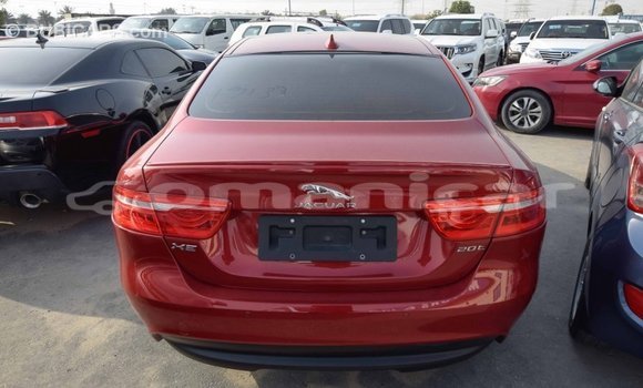 Buy Import Jaguar XE Red Car in Import - Dubai in Dhufar Buy Import Jaguar XE Red Car in Import - Dubai in Dhufar