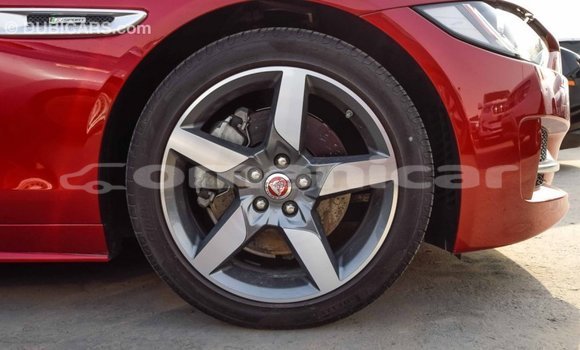 Buy Import Jaguar XE Red Car in Import - Dubai in Dhufar Buy Import Jaguar XE Red Car in Import - Dubai in Dhufar