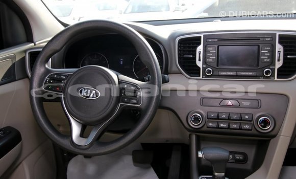 Buy Import Kia Sportage Other Car in Import - Dubai in Dhufar Buy Import Kia Sportage Other Car in Import - Dubai in Dhufar